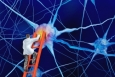 Залезть в голову: инновации в нейронауках