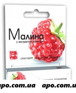 Помада гигиенич малина 2,8